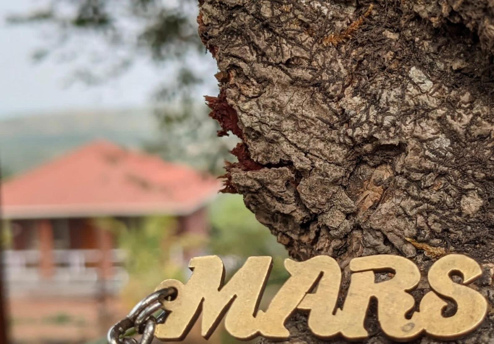 Вилла Mars Jungle Adventure Stud Farm With Private Jacuzzi Narsinge Экстерьер фото