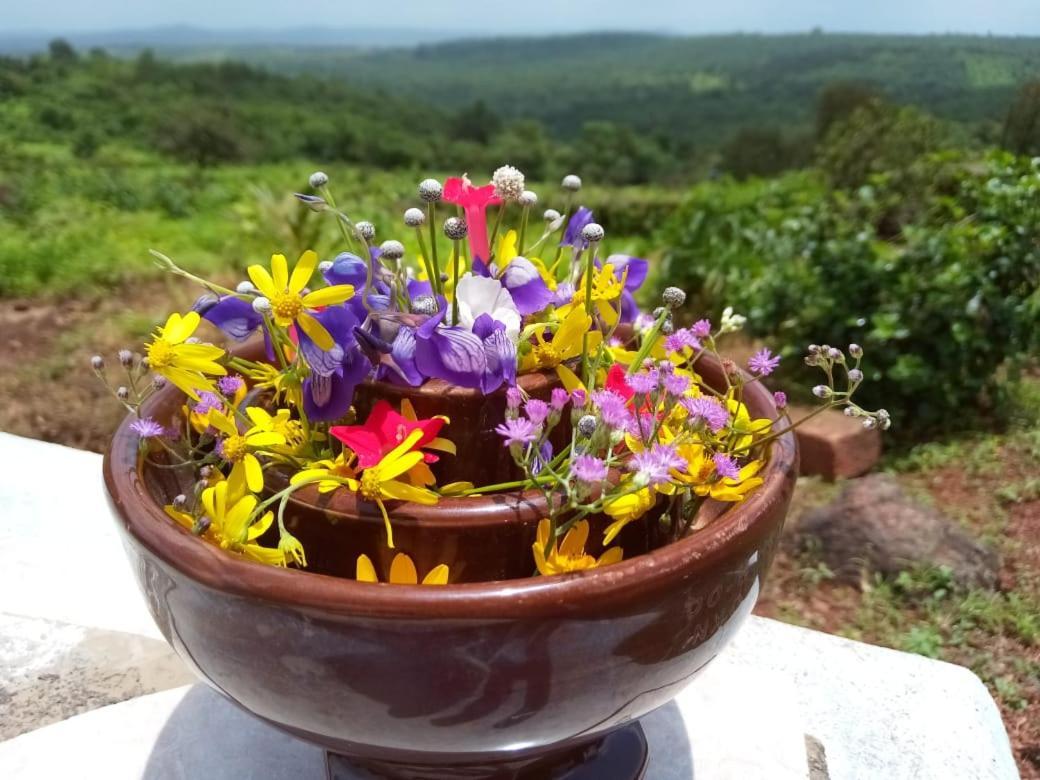 Вилла Mars Jungle Adventure Stud Farm With Private Jacuzzi Narsinge Экстерьер фото